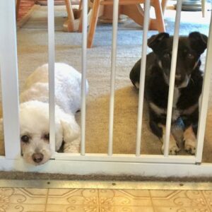 Recording: Alone Time Webinar