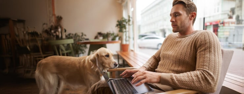 Dog Training Business Trends & Canine Care Ventures