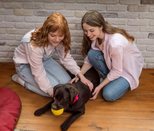 Puppy Training & Socialization: Lifelong Dog Success