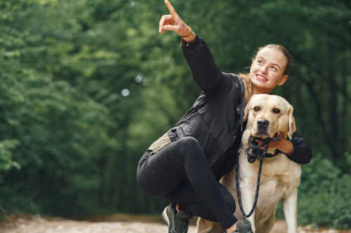 Positive Dog Training: Happier Dogs, Better Results