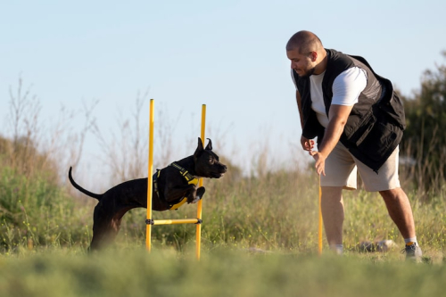Science-Based Service Dog Training: Myths Busted
