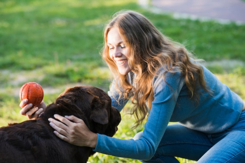 Positive Reinforcement Training for Stronger Dog Bonds