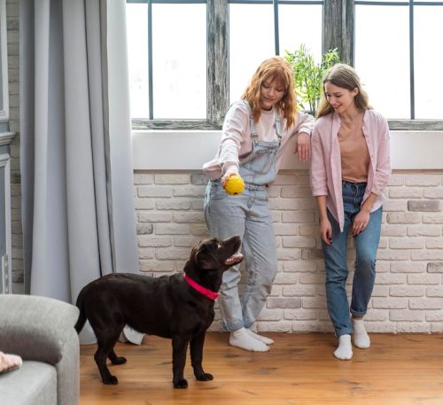 Apartment Dog Training: Why Consistency Matters Most