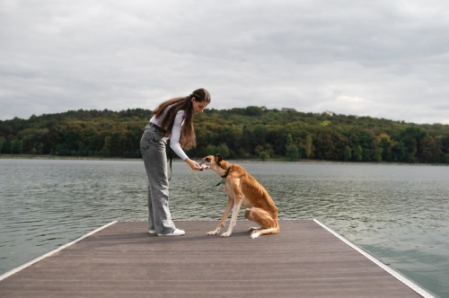 Train Your Dog to Be Comfortable Around Strangers