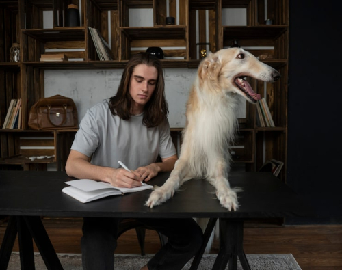 Why Dogs Need Routine: Reducing Anxiety Through Structure