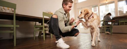 Positive Dog Training Boosts Working Dog Cooperation