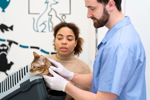 Fear-Free Vet Handling: Expert Technician Insights