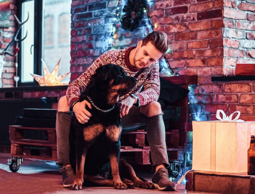 Help Dogs Overcome Fireworks & Thunderstorm Anxiety