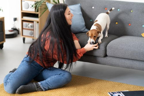 Mental Stimulation & Enrichment Ideas for Puppies