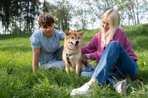 Group Puppy Training Classes: What Every Owner Should Know