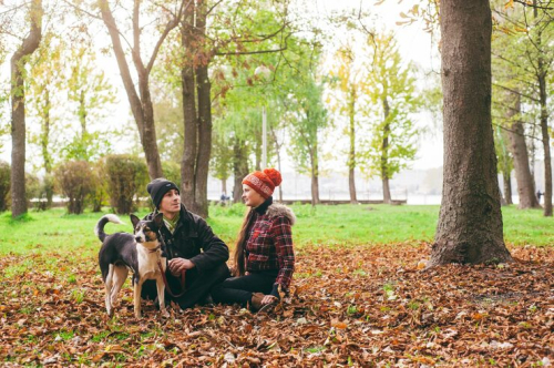 Supervised Puppy Socialization in San Francisco Parks