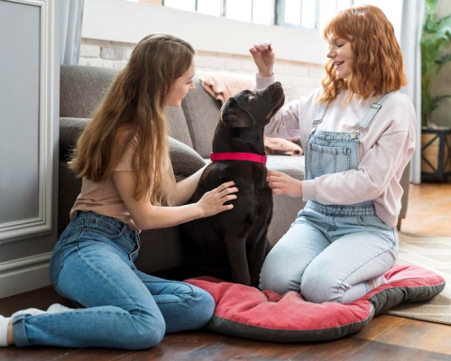 Puppy Socialization Classes: Benefits & Best Practices