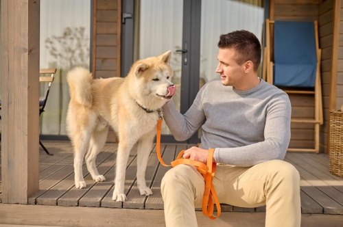 Puppy Trainer San Francisco: What to Look For