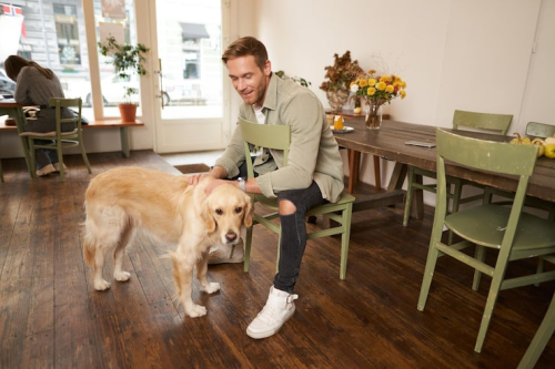 Professional Puppy Training Near Me: Find Local Experts