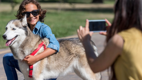 Certified Puppy Trainer San Francisco: Verify Credentials