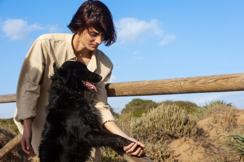 Puppy Training San Francisco: Science-Based Methods