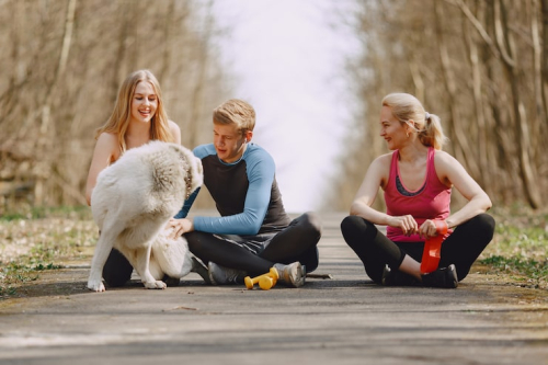 Group Puppy Training San Francisco: Build Social Skills