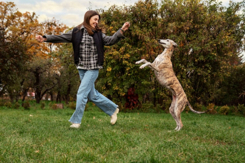 Positive Ways to Stop Puppy Jumping