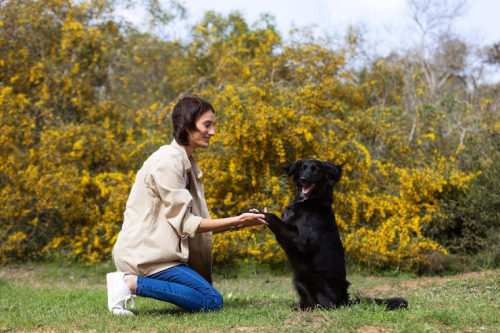 Best Ways to Train a Puppy With Force-Free Methods(57 characters — trimmed version below): Force-Free Puppy Training Tips Recommended by Experts