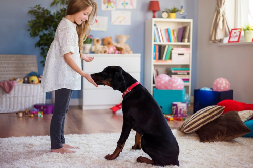 Stop Puppy Barking: Proven Strategies That Actually Work
