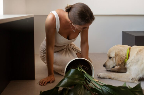 Potty Training a Puppy: Schedules & Tips for Success