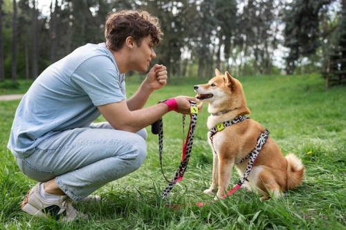 Puppy Recall Training: Teach a Reliable Come Command
