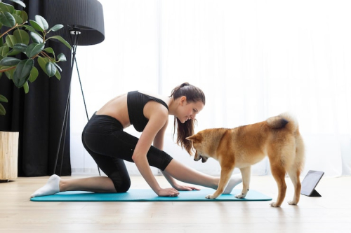 Force Free vs Balanced Dog Training: Which Is Right?