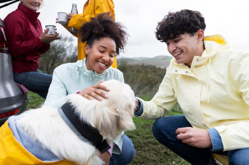 Puppy Socialization Programs Help Urban Dogs Thrive