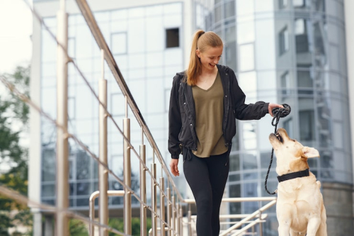 Dog Training Shifts to Trust-Based, Humane Methods