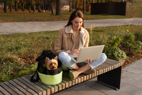 Urban Dog Parks: Hubs for Safe Dog Socialization