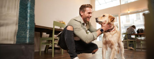 Positive Reinforcement Dog Training for Better Welfare