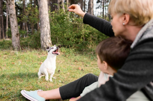 Clicker Training: A Powerful Tool for Dog Communication