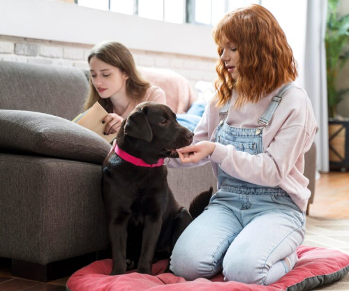 Early Puppy Socialization and Adult Dog Behavior