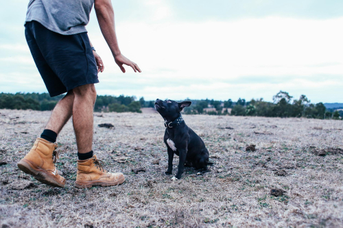 Positive Reinforcement Techniques for Behavior IssuesPositive Reinforcement for Behavior Problems