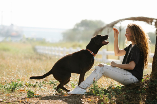 Separation Anxiety: Positive Reinforcement That Works