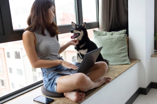 Developmental Windows Critical for Puppy Socialization