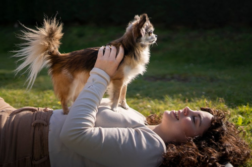 Early Experiences Shape Long-Term Canine Behavior Early Life Shapes Long-Term Canine Behavior Outcomes