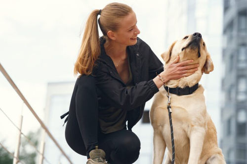 Ethical Canine Training: What Every Dog Owner Must Know