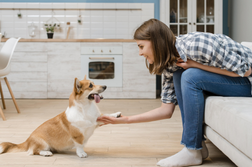 Positive Reinforcement: Transform Your Dog's Behavior