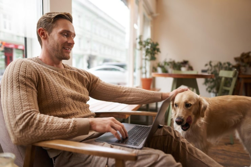 Efficient Training Models for Busy Working Dog Owners