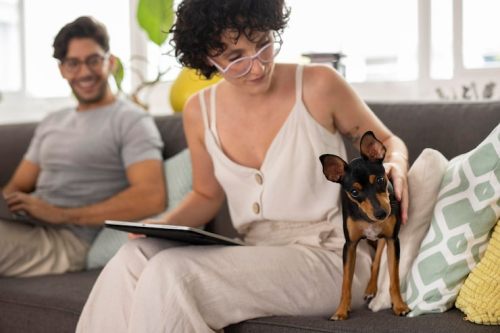 Customized Dog Plans Tailored to Every Temperament