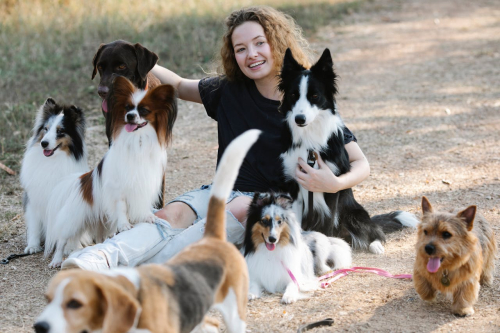 Positive Training Methods That Work for Every Dog Breed