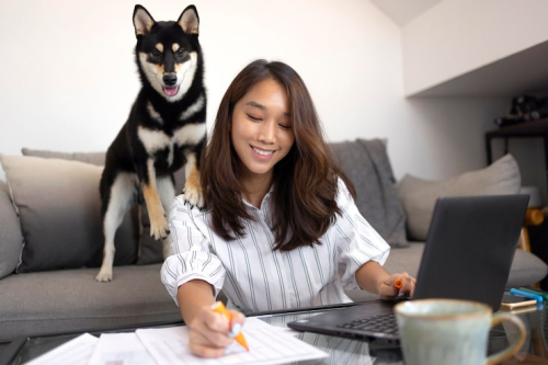 Integrated Programs That Simplify Puppy Training for Busy Owners