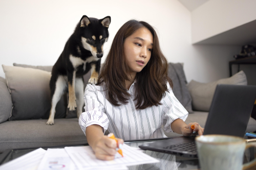 Evidence-Based Positive Reinforcement in Dog Training