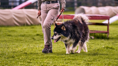 Tailored Approaches That Counter Training Skepticism