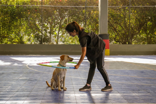 Group Socialization Meets Individual Skill Growth