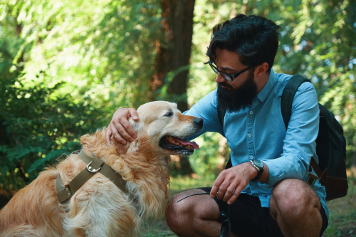 Positive Reinforcement Builds Strong Dog Bonds