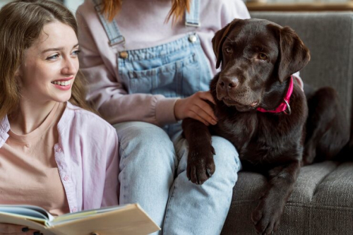 Puppy Classes: Key Benefits for Socialization Skills