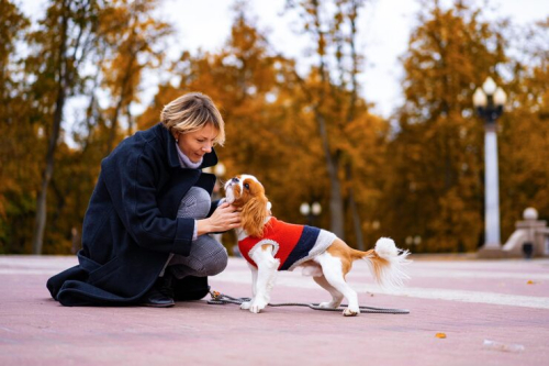 Puppy Training Classes That Deliver Real-World Results