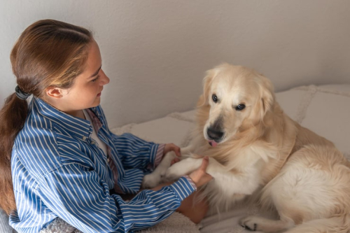 Puppy Owners Benefit from Early Socialization Practices